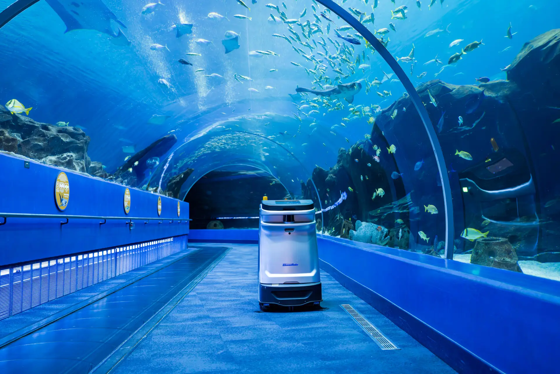 Georgia Aquarium grand interior hall with guests and marine exhibit lighting