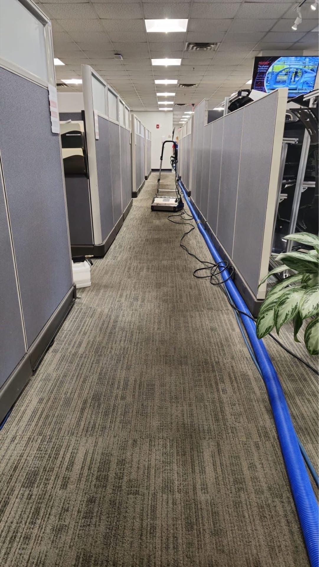 Office cubicle aisle with hot water extraction equipment setup, before cleaning