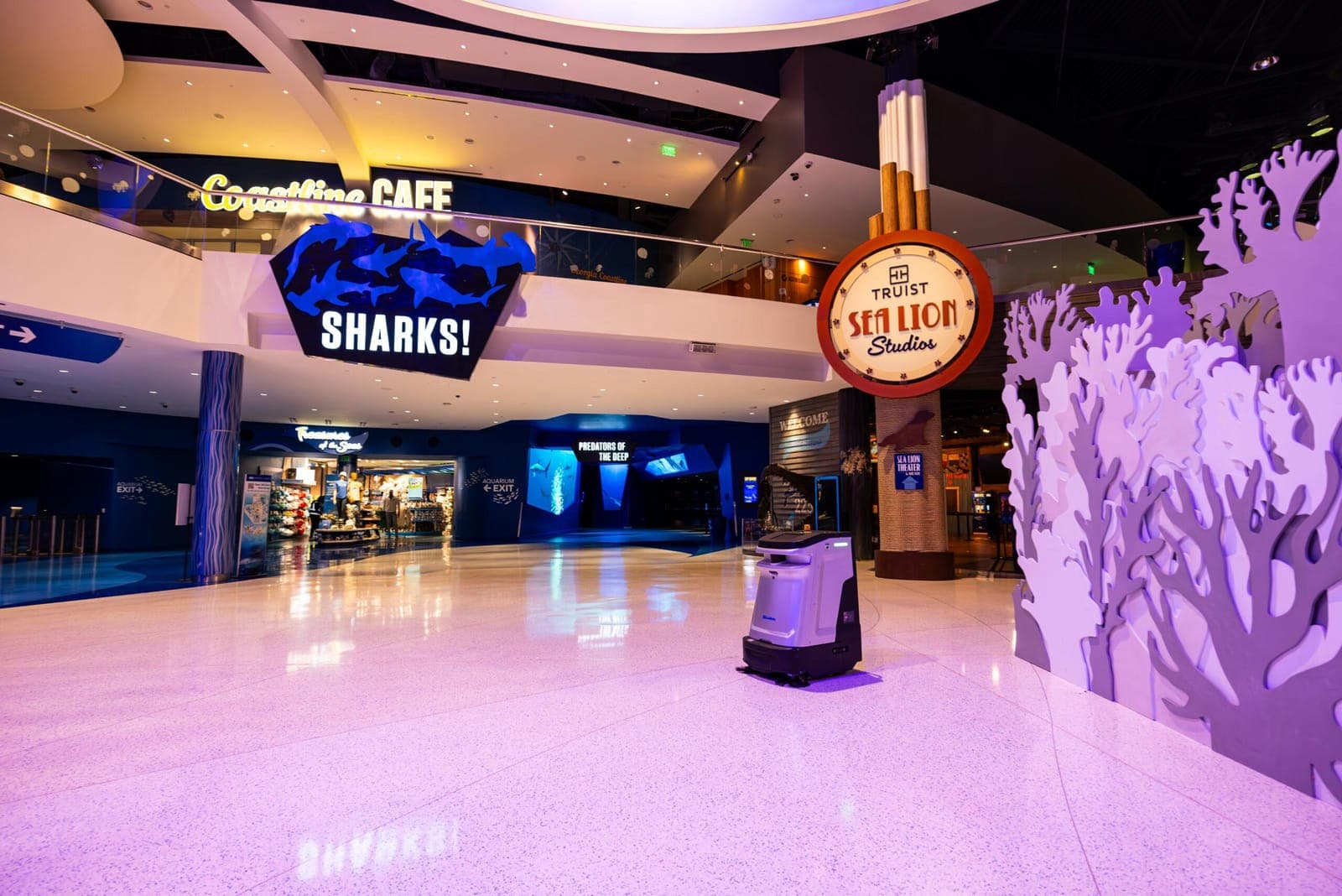 Professional facility cleaning services