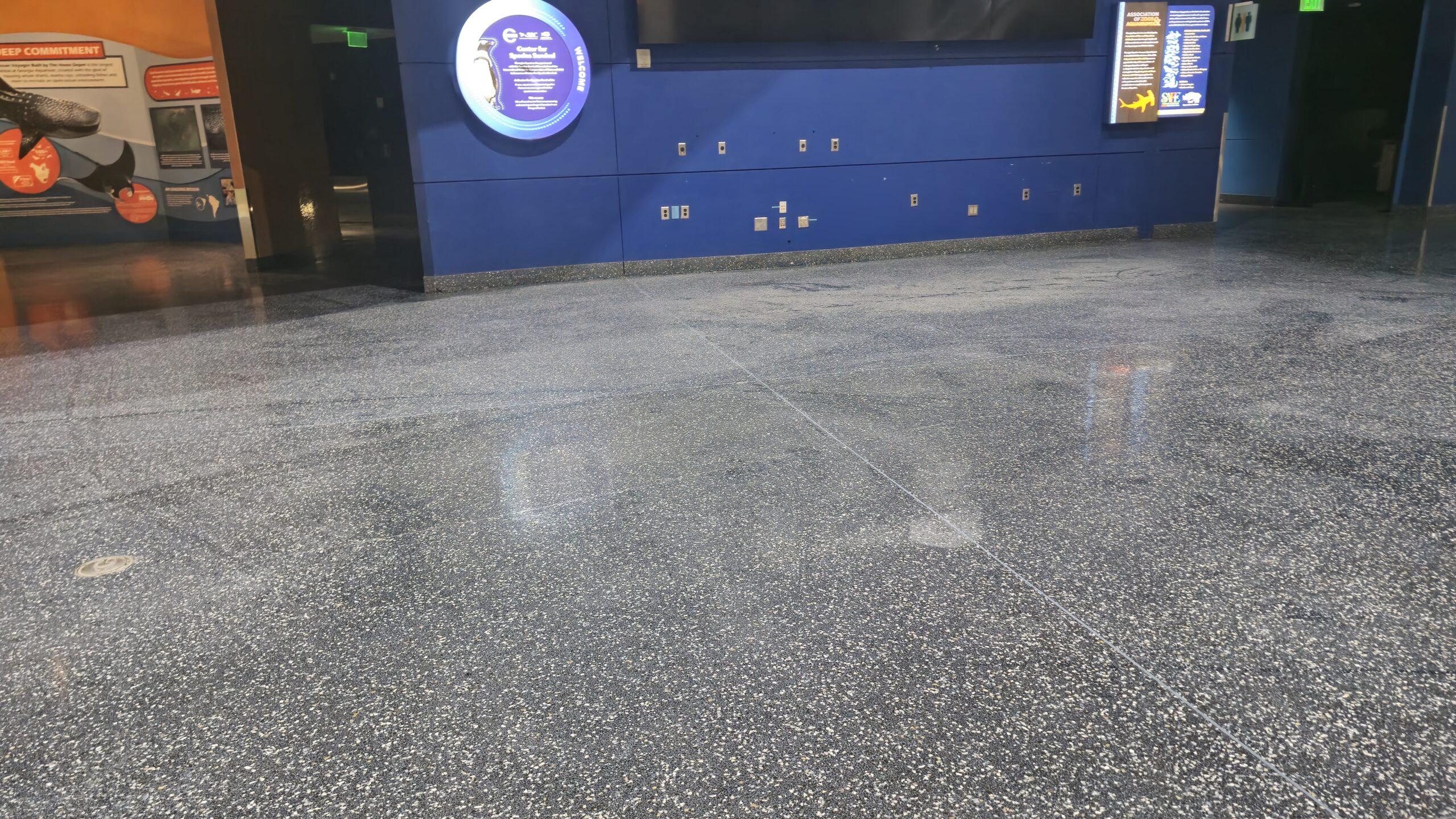 Georgia Aquarium Micron Sealer application in progress